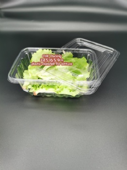China CHK Packing high quality Disposable PET Plastic Blister Crisp Lettuce Clamshell for herbs