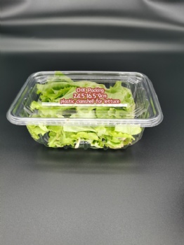 China CHK Packing high quality Disposable PET Plastic Blister Crisp Lettuce Clamshell for herbs