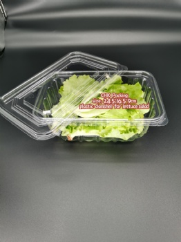 China CHK Packing high quality Disposable PET Plastic Blister Crisp Lettuce Clamshell for herbs