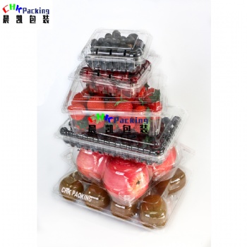Customized PET PLA fruit cherry packaging transparent plastic punnets packing fruit punnet