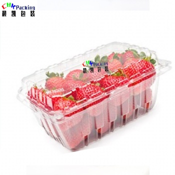 Customized PET PLA fruit cherry packaging transparent plastic punnets packing fruit punnet