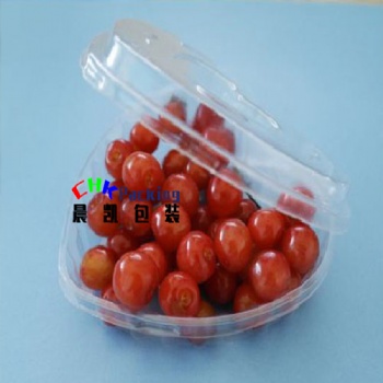 Customized PET PLA fruit cherry packaging transparent plastic punnets packing fruit punnet