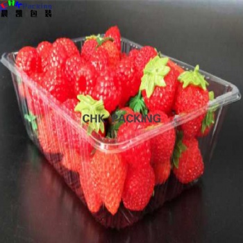 Good Quality Disposable Clear Plastic Supermarket Packaging Fruit Vegetable Tray